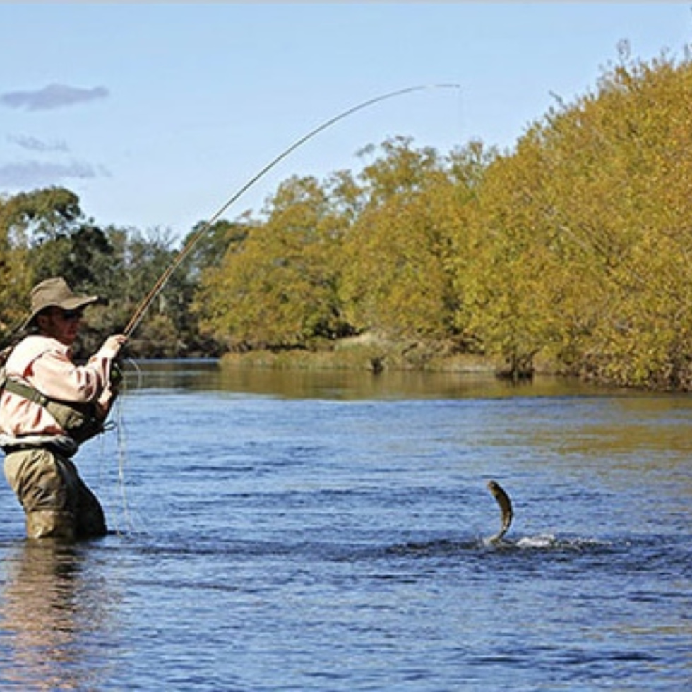 Diseño sin título (7)